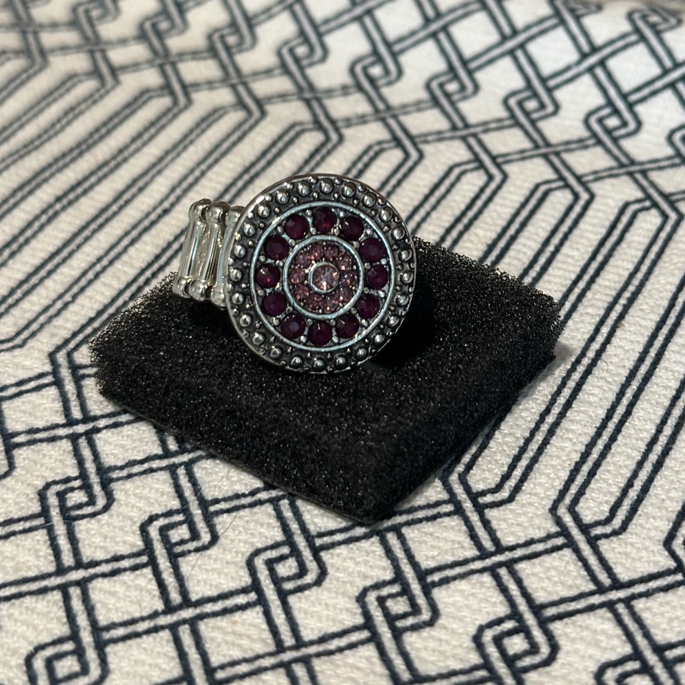 NWT Paparazzi “Grove Trove” Silver & Purple Accents
